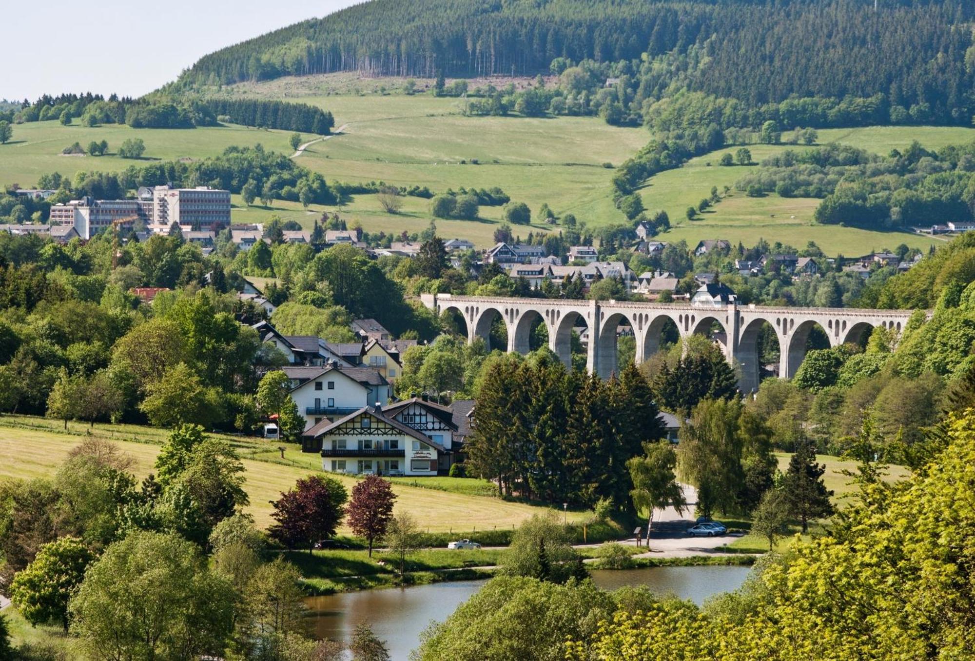 Ferienhaus Diemelquelle - Mit Eingezaeuntem Garten Віллінген Екстер'єр фото